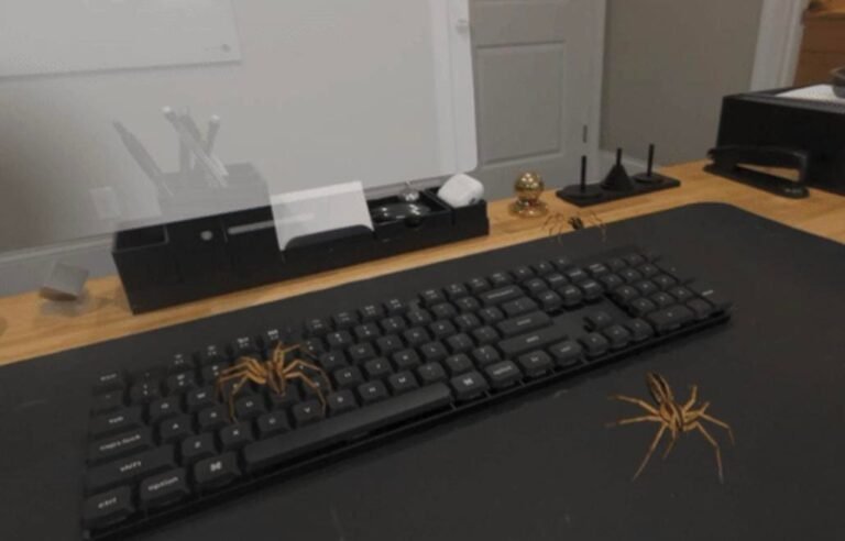 Spider-Man hacker uses Apple Vision Pro to spawn 100 VR